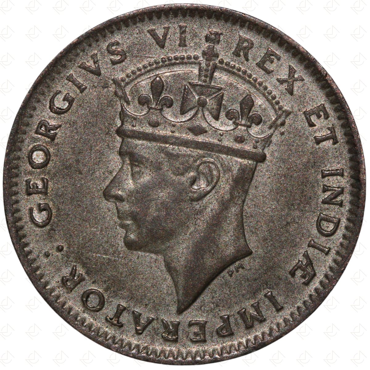 MansbridgeCoins's tweet image. 1937 H East Africa George VI 50 Cents Coin – Heaton Mint – Silver

Starting Price: £10.00

Currently at 7-day auction — bid before it's gone!

📦 £3.25 UK shipping
🌍 Secure international delivery
🔗 ebay.co.uk/str/mansbridge…

#Coins #MansbridgeCoins #CoinCollector #CoinCollectors
