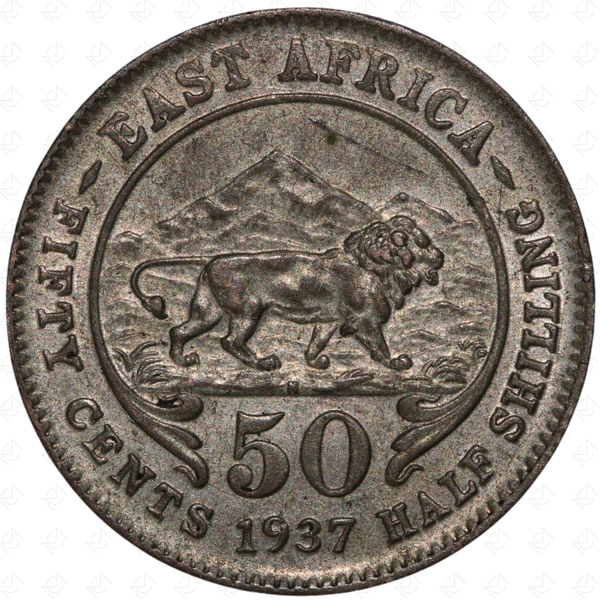 MansbridgeCoins's tweet image. 1937 H East Africa George VI 50 Cents Coin – Heaton Mint – Silver

Starting Price: £10.00

Currently at 7-day auction — bid before it's gone!

📦 £3.25 UK shipping
🌍 Secure international delivery
🔗 ebay.co.uk/str/mansbridge…

#Coins #MansbridgeCoins #CoinCollector #CoinCollectors