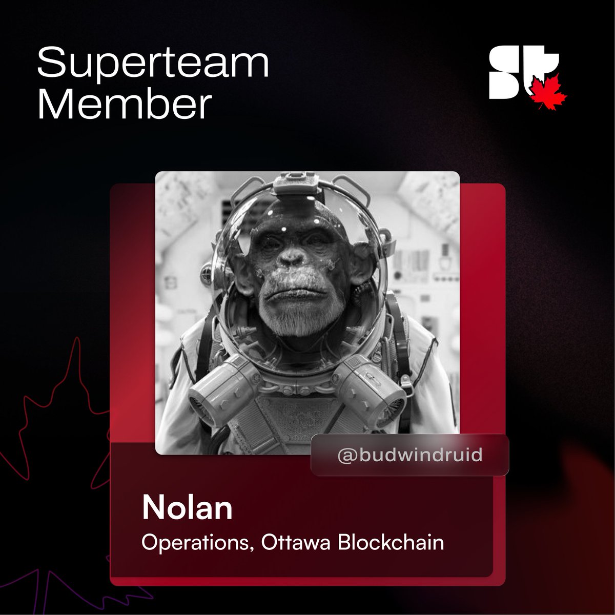 Superteam Canada tweet media