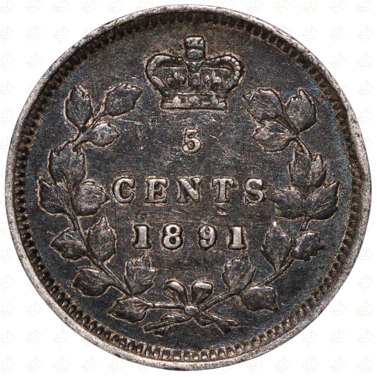 MansbridgeCoins's tweet image. 1891 Canada Victoria 5 Cents Coin – Silver

Starting Price: £15.00

Currently at 7-day auction — bid before it's gone!

📦 £3.25 UK shipping
🌍 Secure international delivery
🔗 ebay.co.uk/str/mansbridge…

#Coins #MansbridgeCoins #CoinCollector #CoinCollectors #Numismatics #eBay