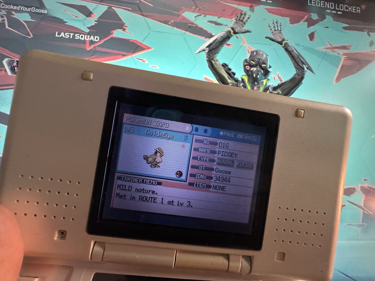 CookedYourGoose's tweet photo. Shiny Pidgey on stream ✨

FIRST OF MANY 🫀

Keep up to date with my hunts daily 👁️

@ https://t.co/vQKHOuExHF https://t.co/AieaMni70p