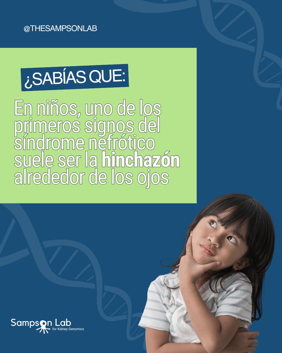Sampson Lab for Kidney Genomics tweet media