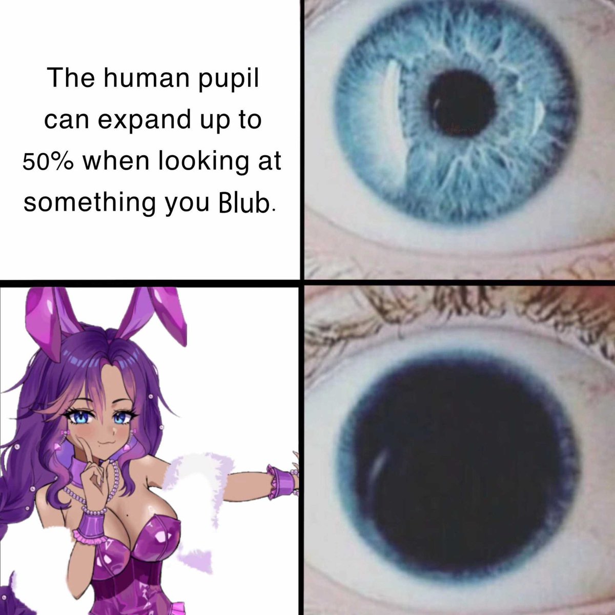 ChaCha ☕️💟 tweet media