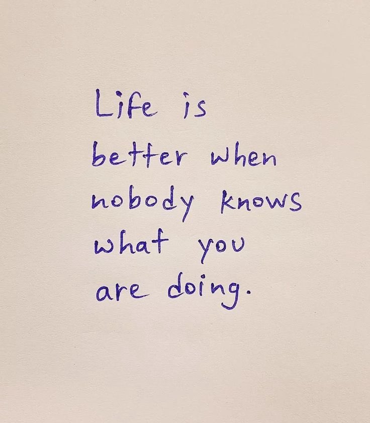 Curious Minds (@curiousmindshub) on Twitter photo 