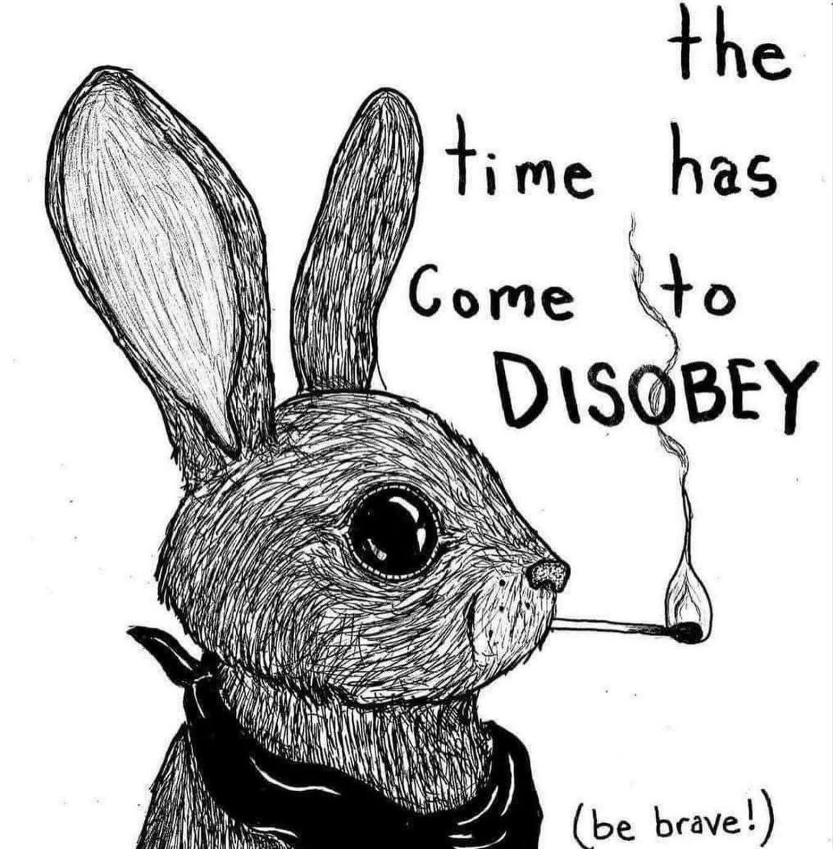 Anarchismemes (@anarchismemes) on Twitter photo 