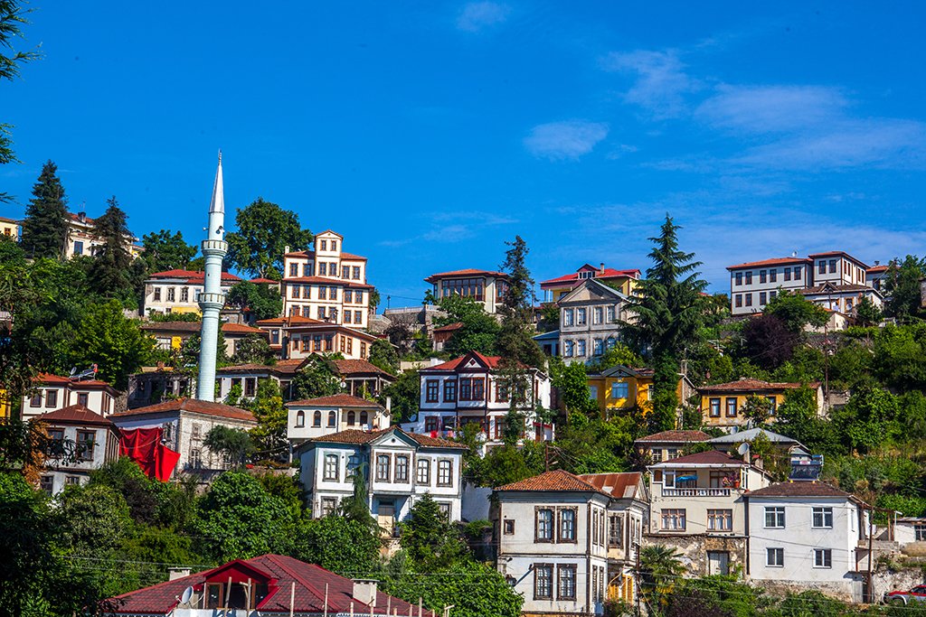 Homer Pavlos tweet media