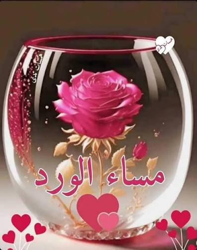 محمد عمارة tweet media