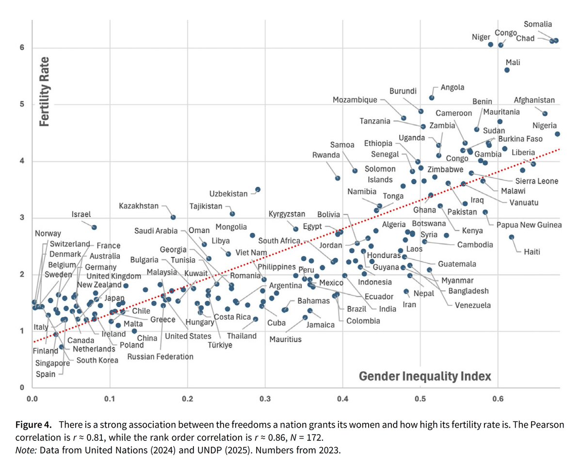 PsikoBilim tweet media