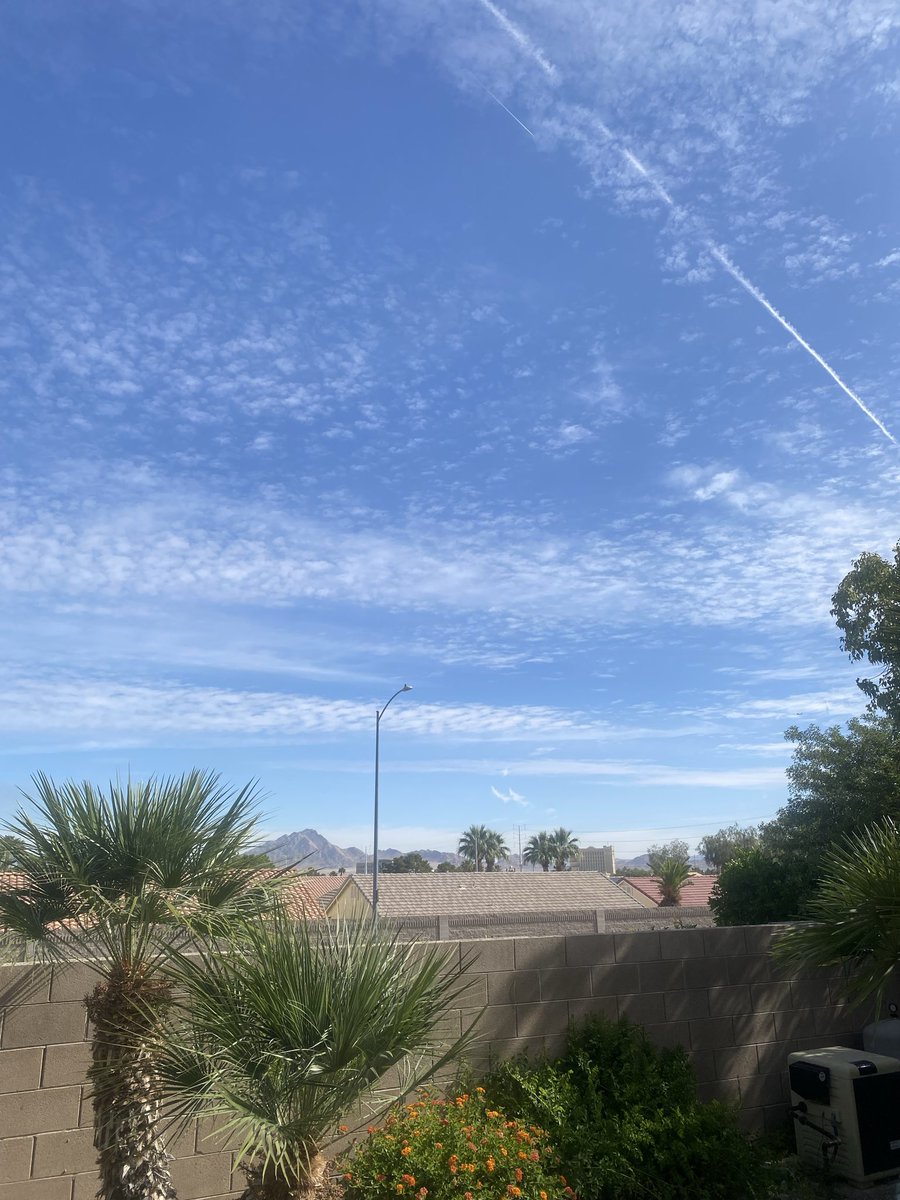 UselessEaterJeffy tweet media