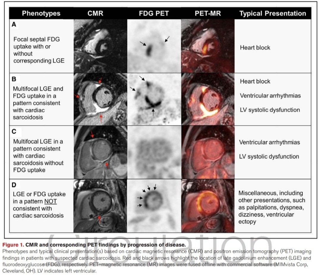 Dr. FEVI🫀🩺 tweet media