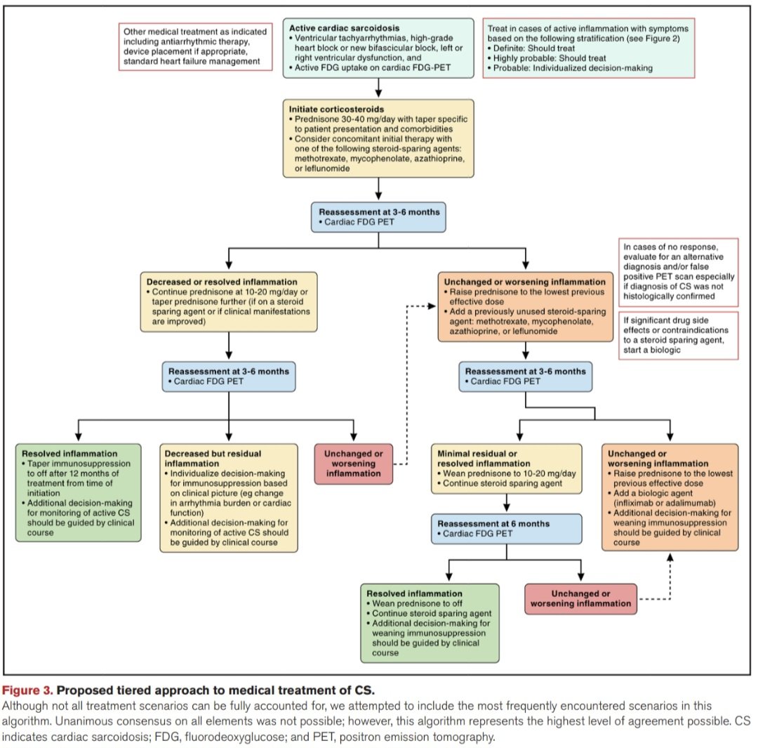 Dr. FEVI🫀🩺 tweet media