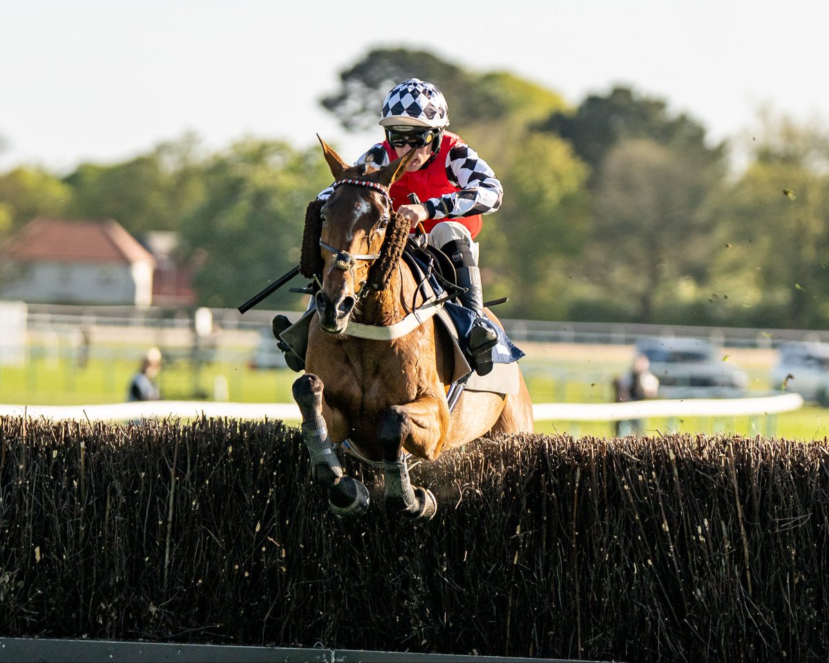 Fontwell Park tweet media