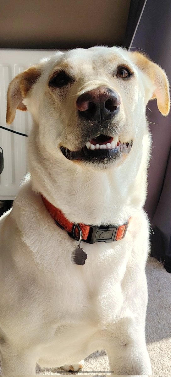 Kim Turner tweet media