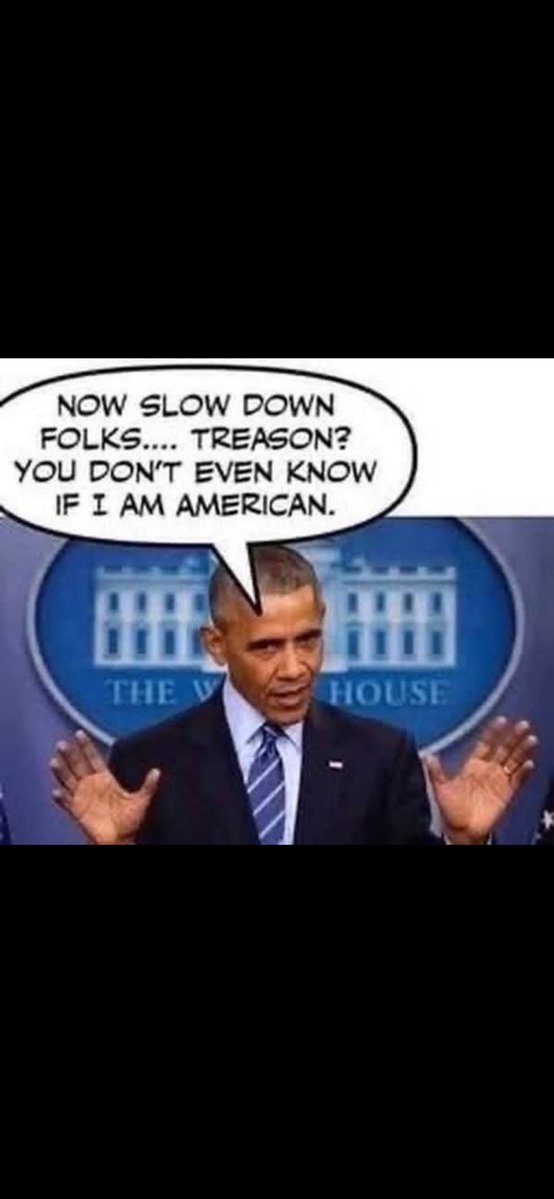 deceanne's tweet image. Im going to be so pissed if the Kenyan gets out of committing treason because he isn’t an American citizen!