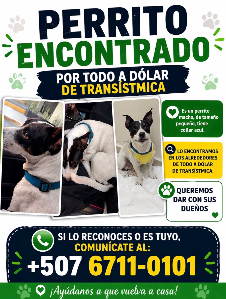 Ivette Berrio tweet media