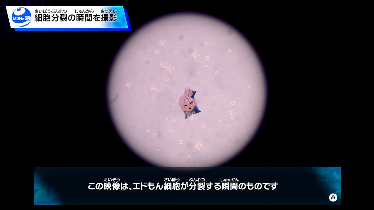 電子レンジ tweet media