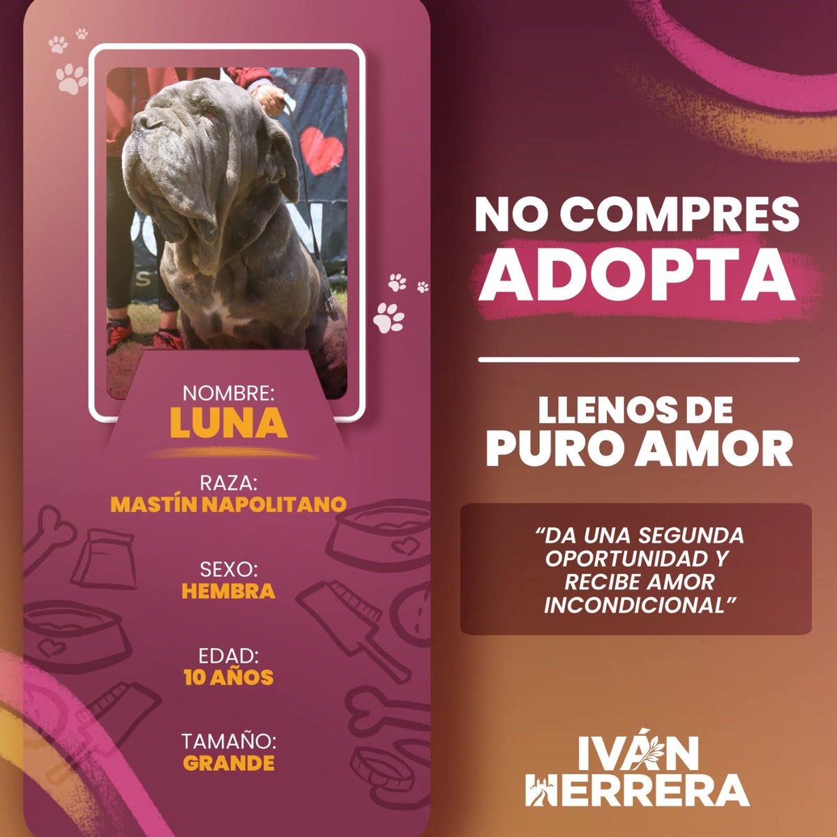 Iván Herrera tweet media