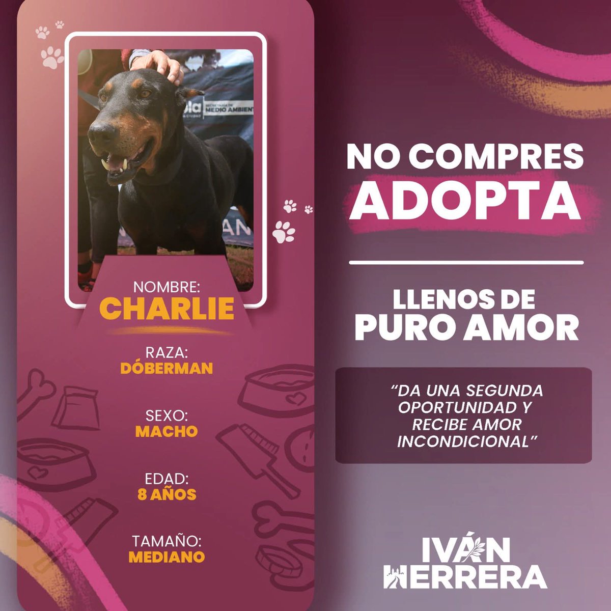 Iván Herrera tweet media