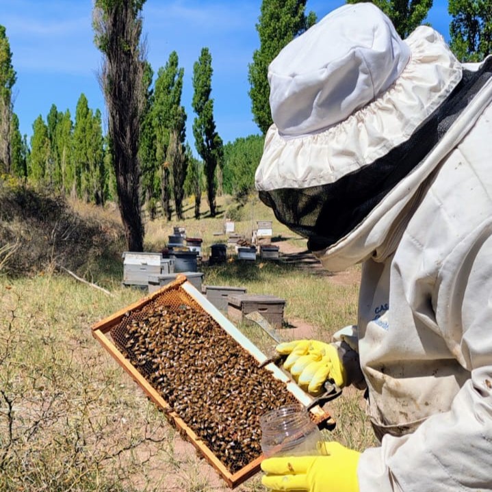 SenasaAR's tweet photo. 📍Malargüe, Mendoza
Junto al gobierno provincial y la FAO continuamos con el relevamiento territorial apícola, necesario para actualizar la información sanitaria de los apicultores.

🐝El objetivo es determinar el estatus sanitario de Mendoza respecto de enfermedades apícolas. https://t.co/G6n4xwMpnp