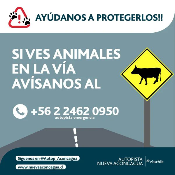 Autop_Aconcagua's tweet photo. 🐾 ¡Ayúdanos a protegerlos! Si ves animales en la ruta, avísanos de inmediato. 🐎 Una vía segura la construimos entre todos. ⚠️ Conduce siempre atento a tu entorno y, ante cualquier emergencia, usa nuestros canales oficiales. #VíasChile
📞 +56 2 2462 0950
📱 X: @autop_aconcagua https://t.co/XhlAZbM9hM