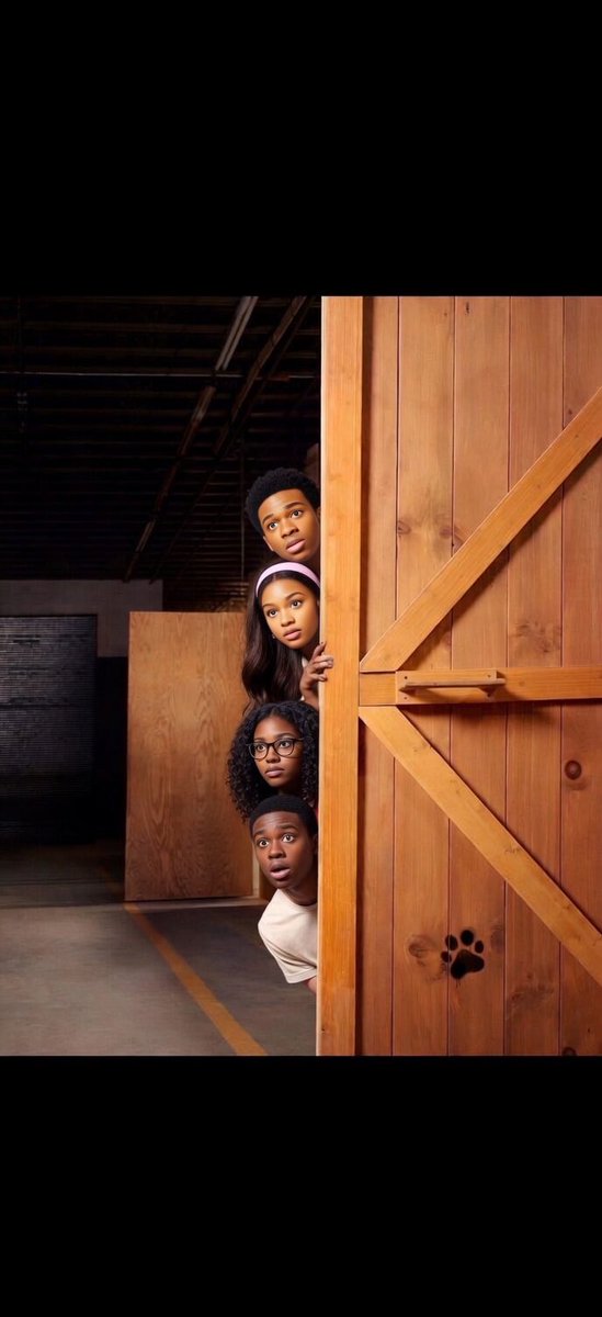 D 🇺🇸 tweet media