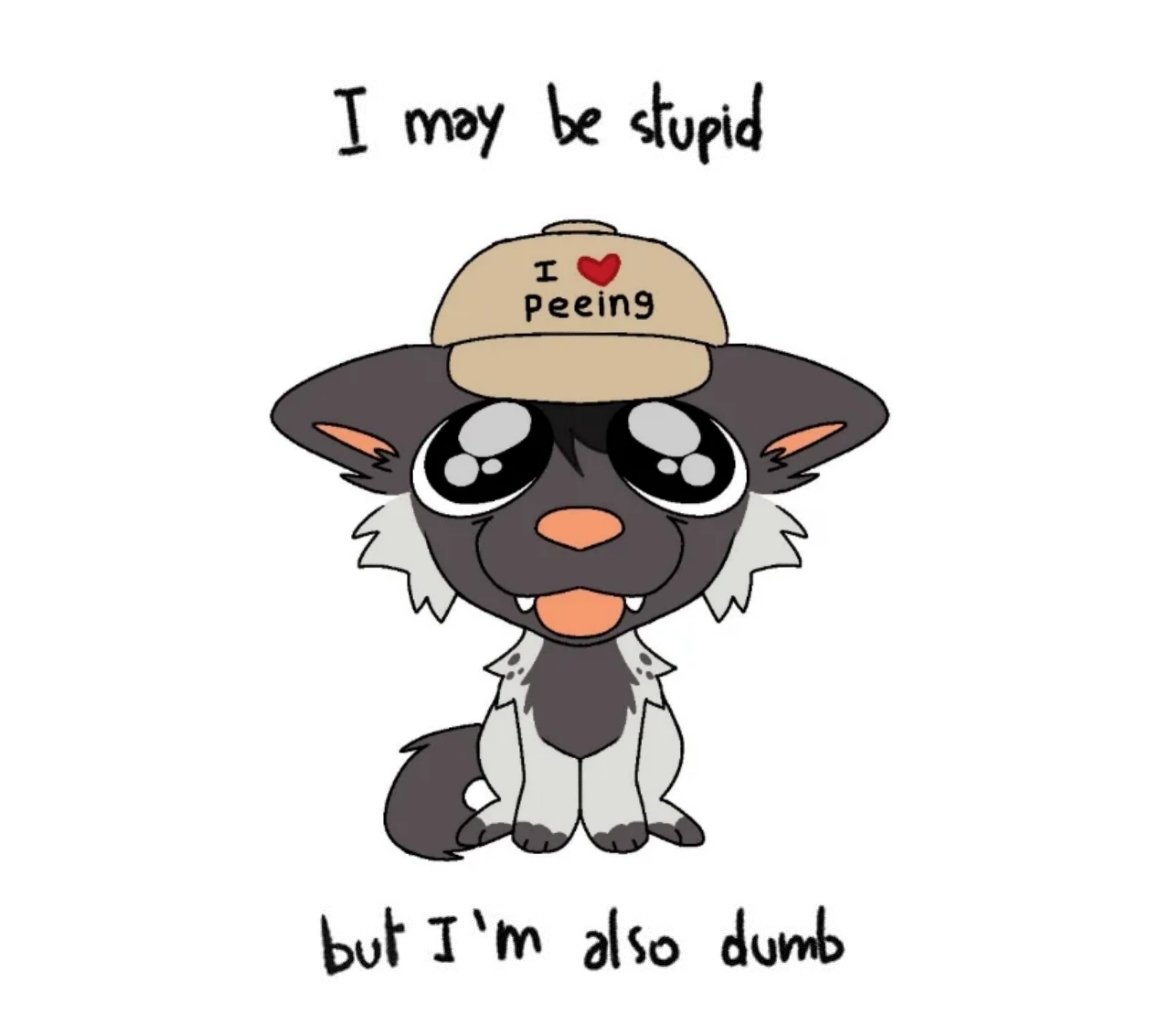 Helo 🐶 🐰 🔞 tweet media