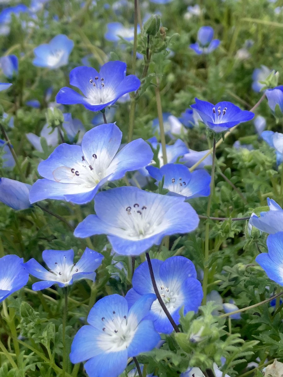 emi🌠🐈 tweet media