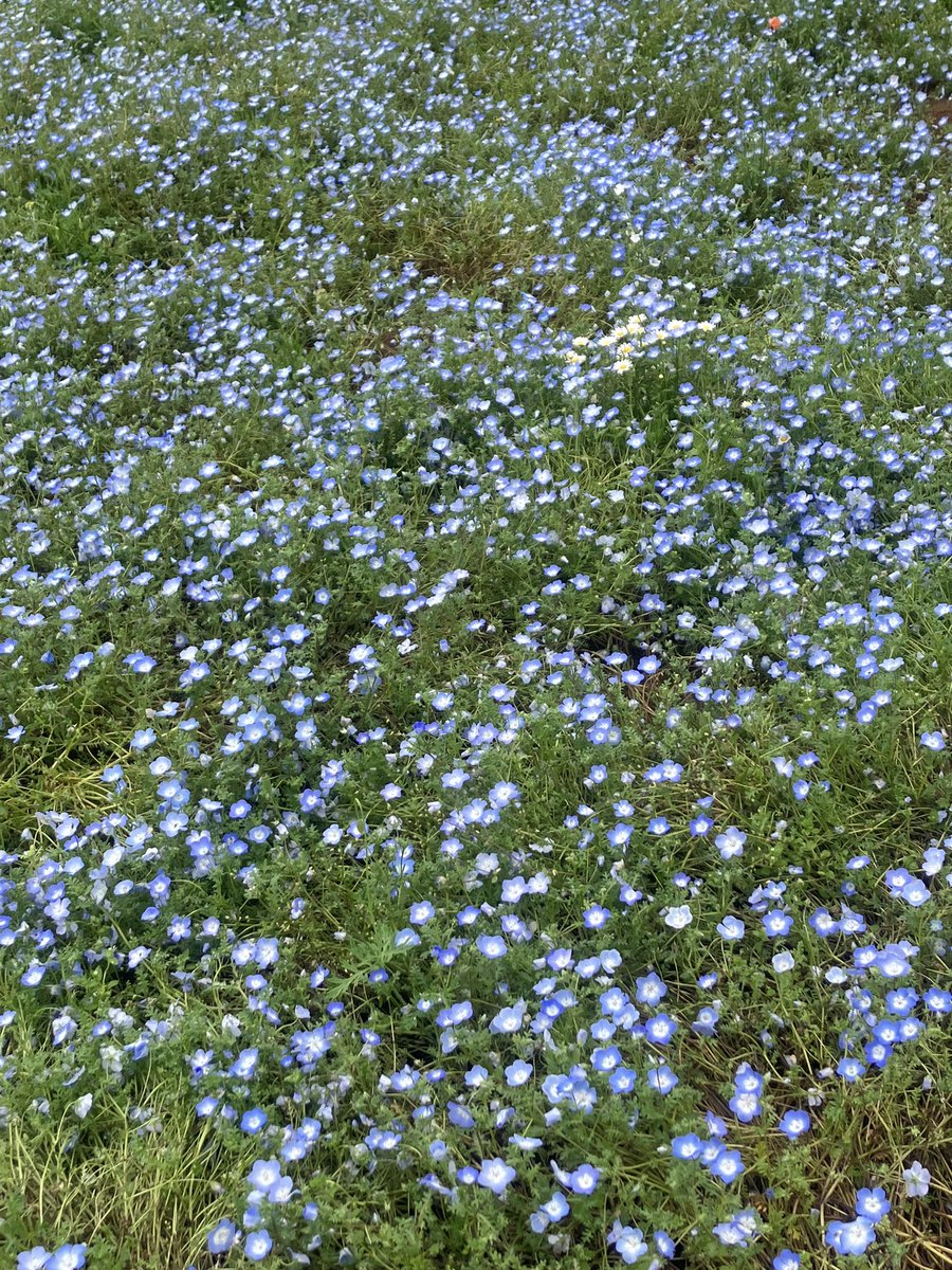 emi🌠🐈 tweet media