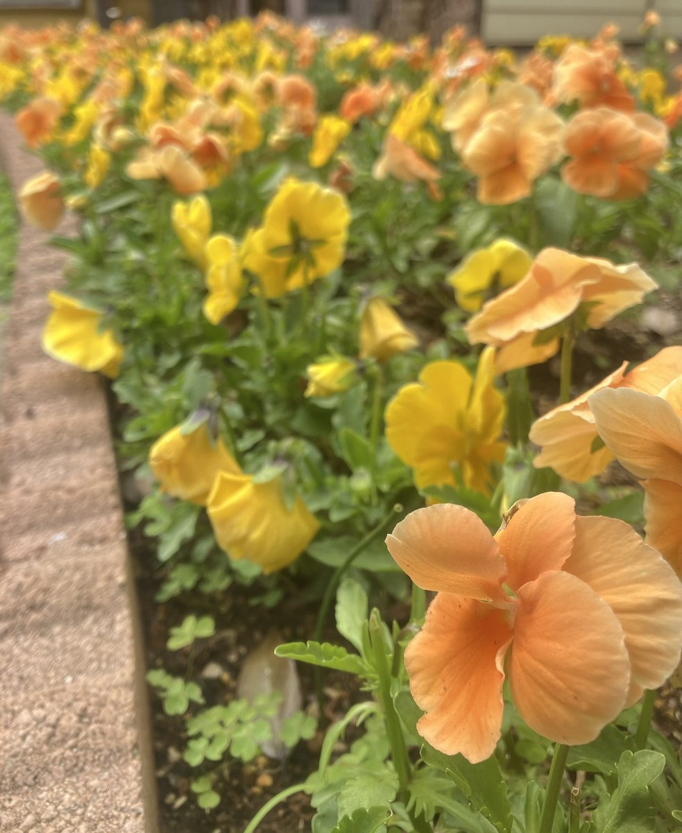 emi🌠🐈 tweet media