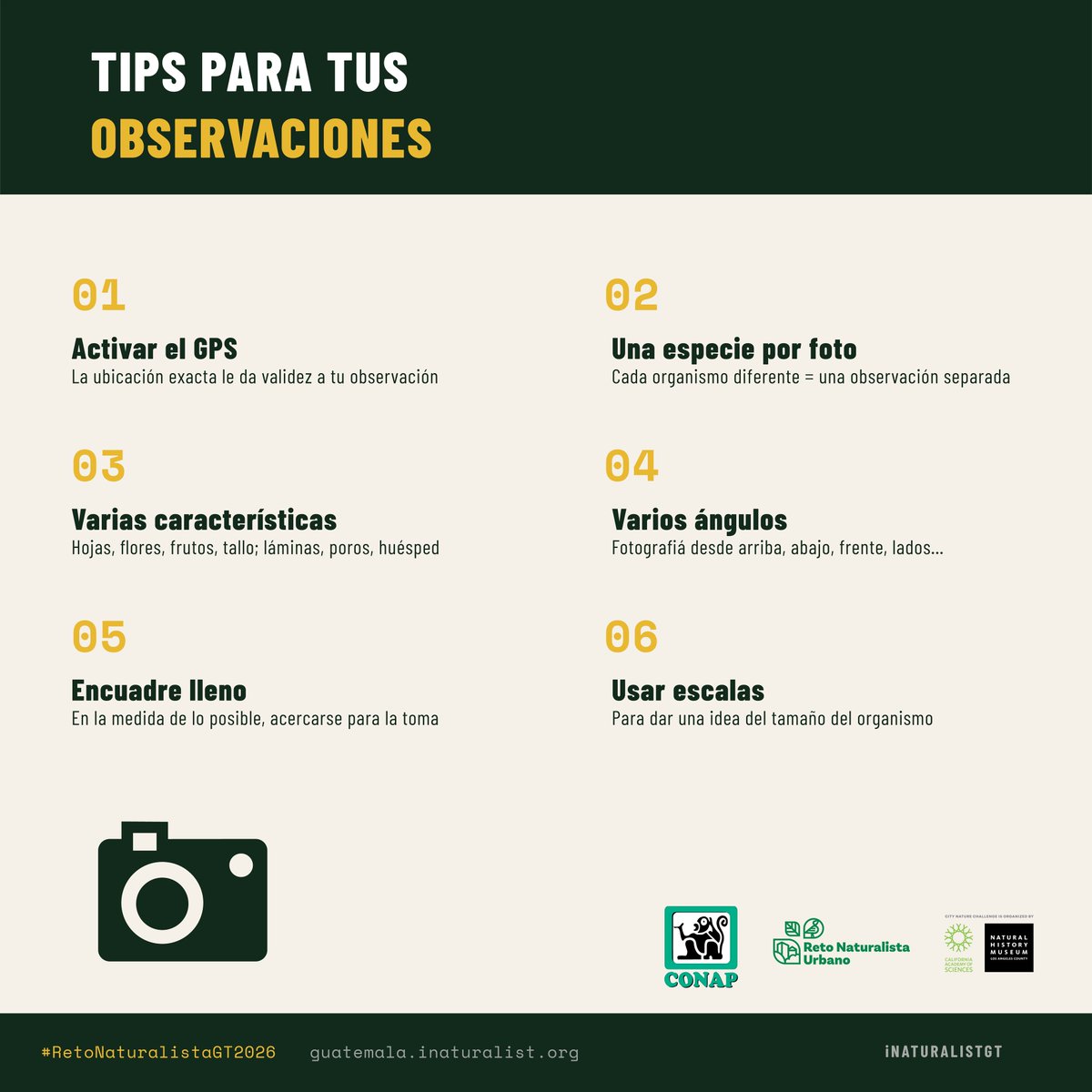 SNIBgt's tweet photo. Acá te dejamos unos consejos para que las fotos que estás tomando te salgan bien.

Información general sobre el Reto: https://t.co/XNb3XMP5gi
https://t.co/WznAG6IB6T

#RetoNaturalistaGT2026 https://t.co/nD9PecbxoQ