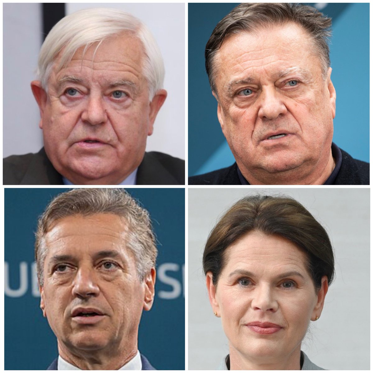 Lučka Hočevar tweet media