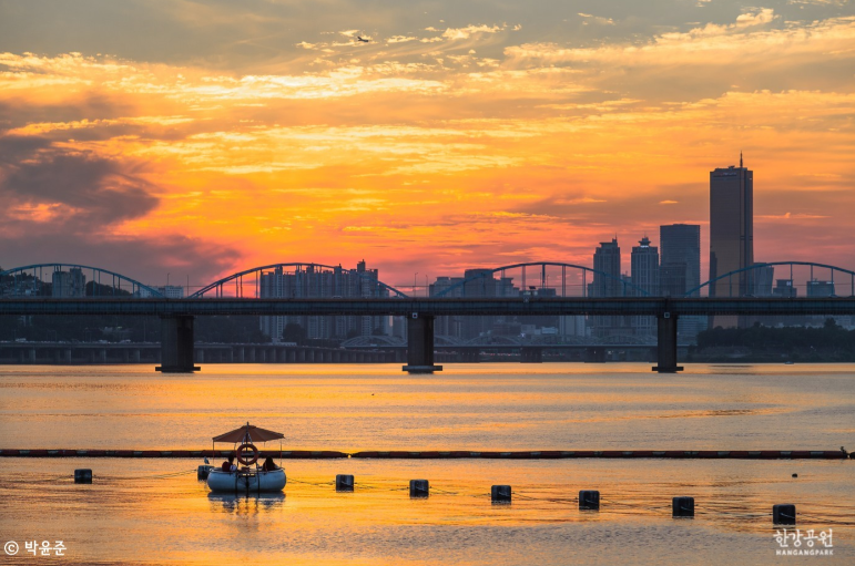 오로라 tweet media