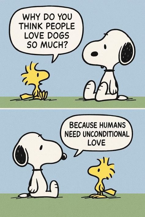 ShennyWalrond's tweet image. #FridayThoughts 🐾❤️
