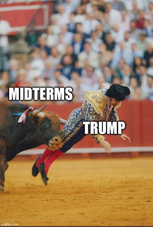 Anonymous tweet media