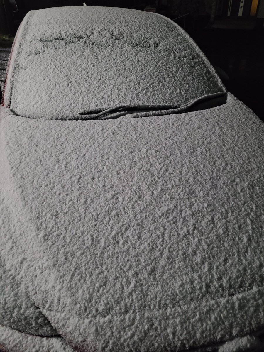 kitty0_0 tweet media