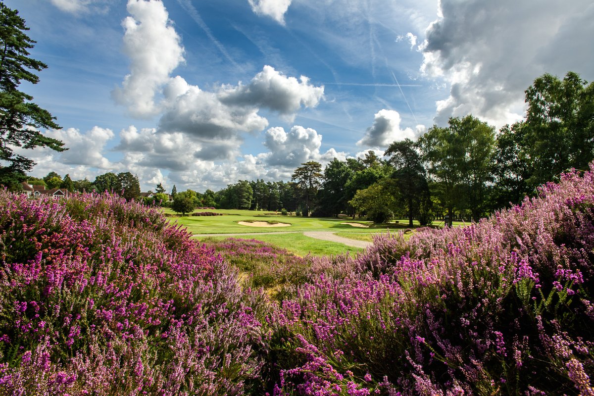 Premier Golf tweet media