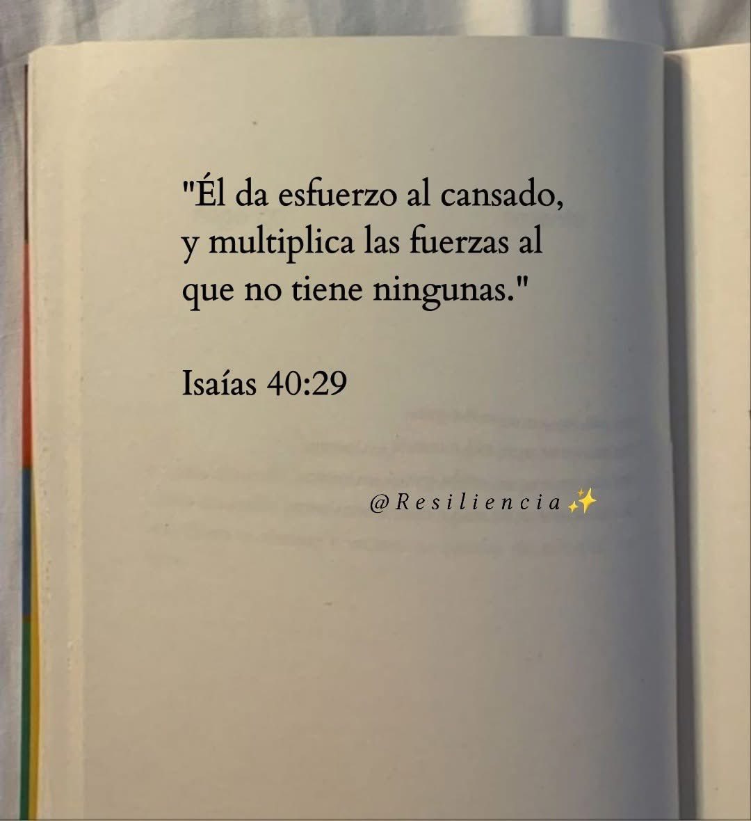 Alejandro López Jarquín tweet media