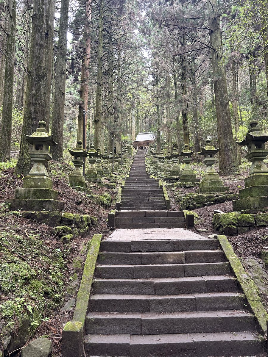 みかん🍊 tweet media