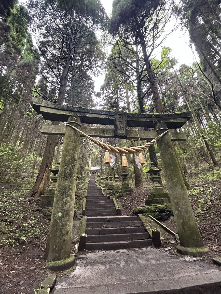 みかん🍊 tweet media