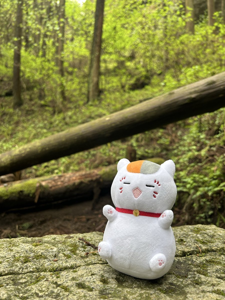 みかん🍊 tweet media