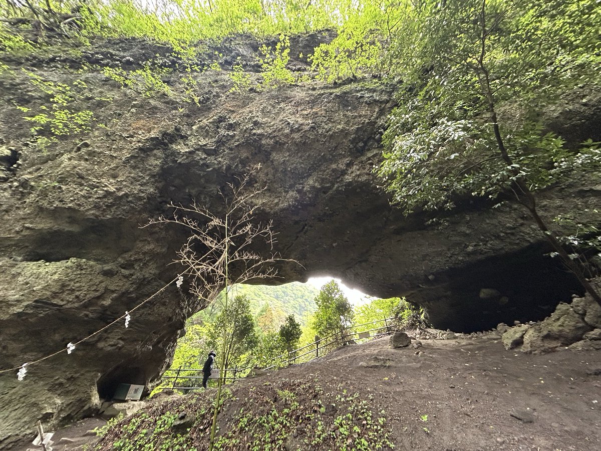 みかん🍊 tweet media