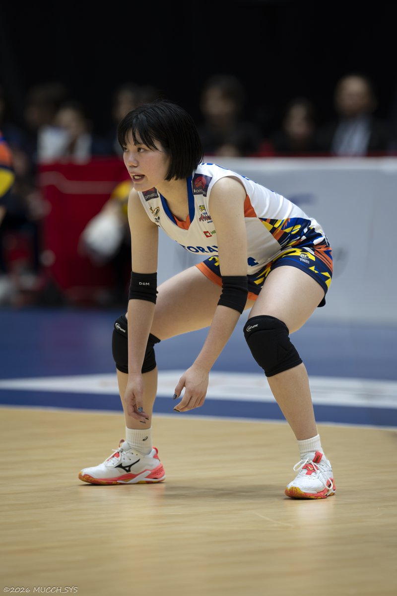 むっちしす tweet media