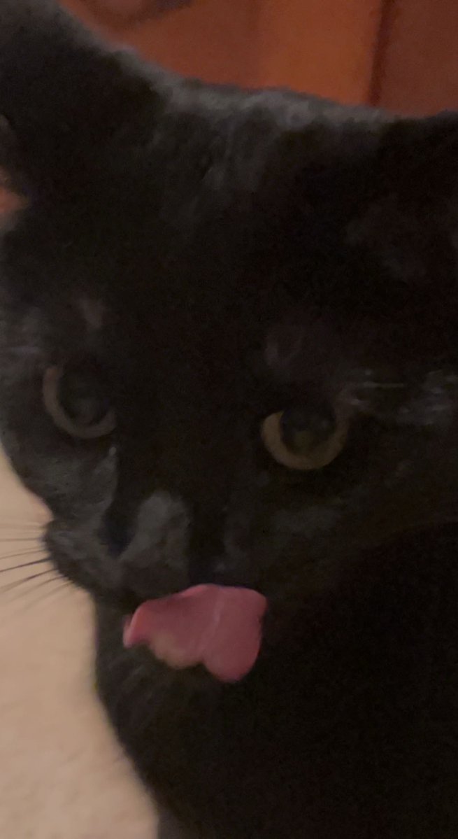 peach grl tweet media