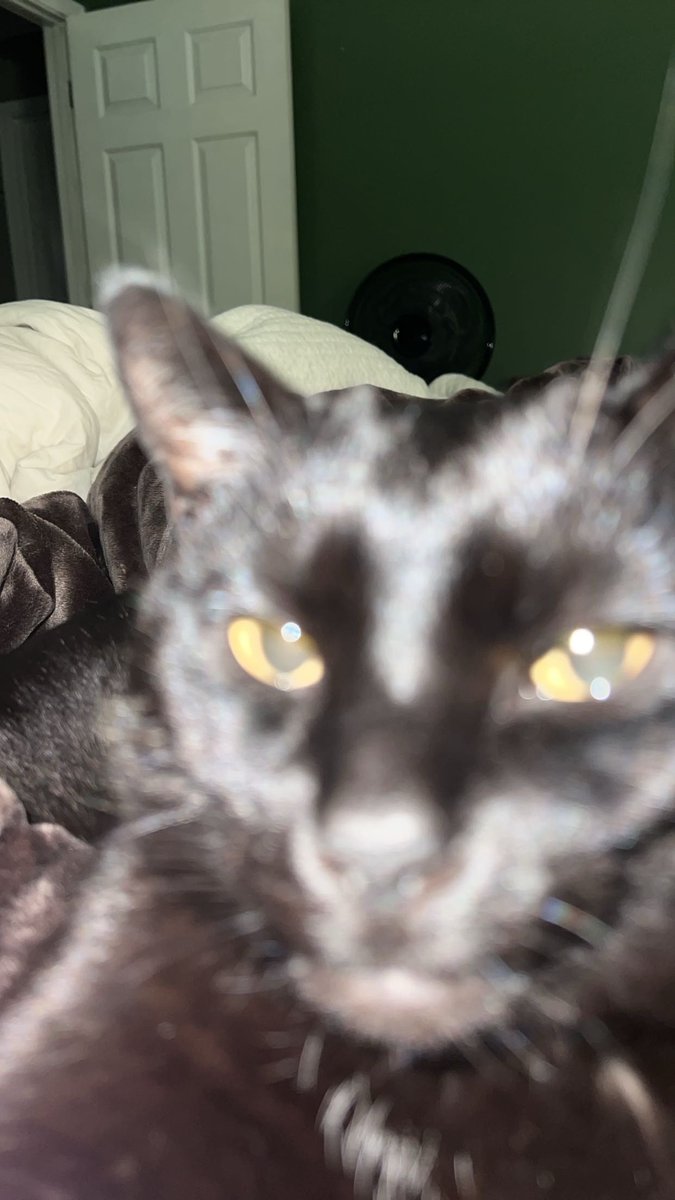 peach grl tweet media