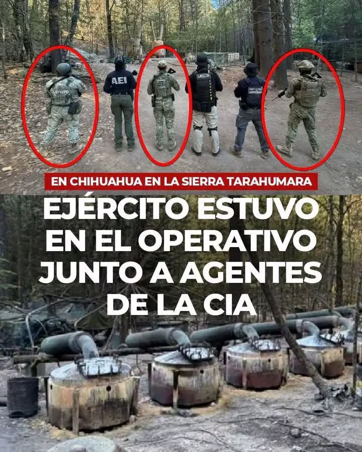 Gildo Garza tweet media