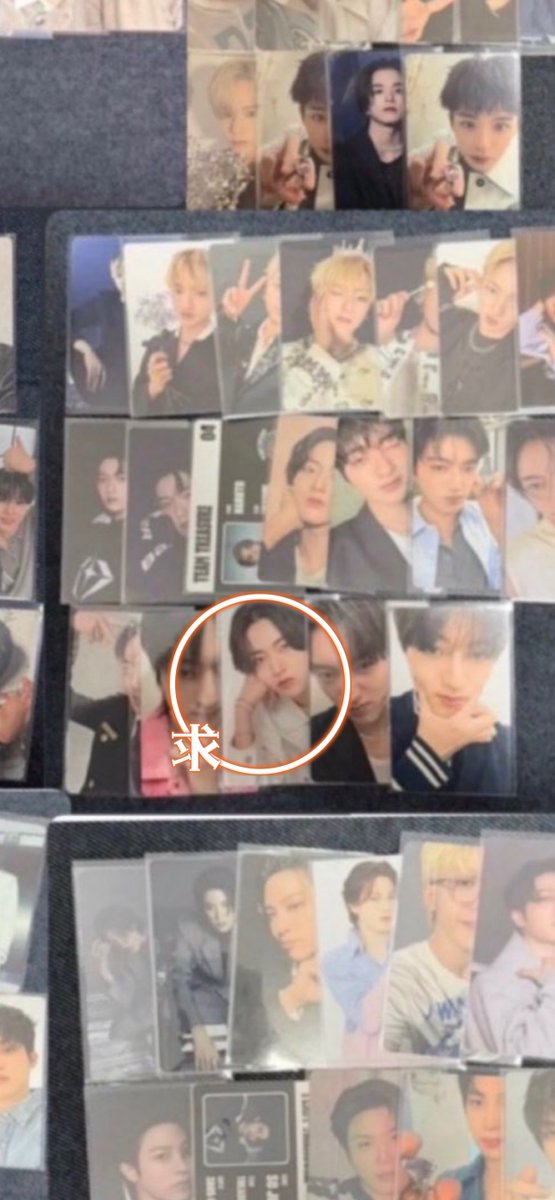 もち🦔🦋 tweet media