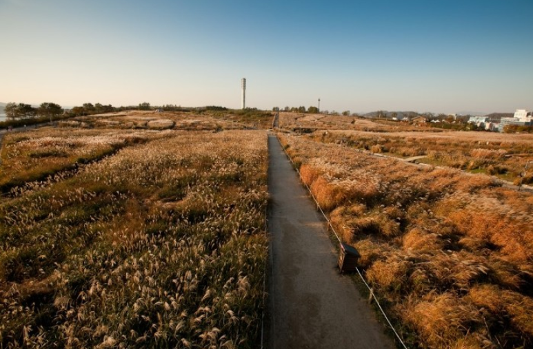 오로라 tweet media