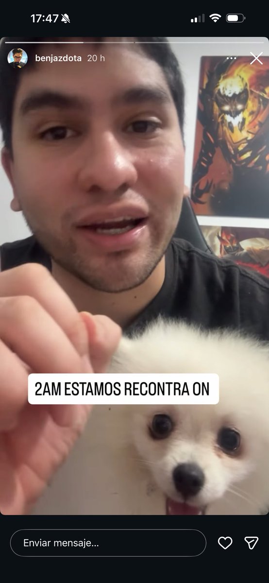 Catsxees tweet media