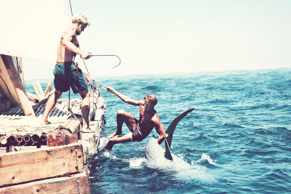 Alexander 𖤓 Nietzschean Vitalist tweet media