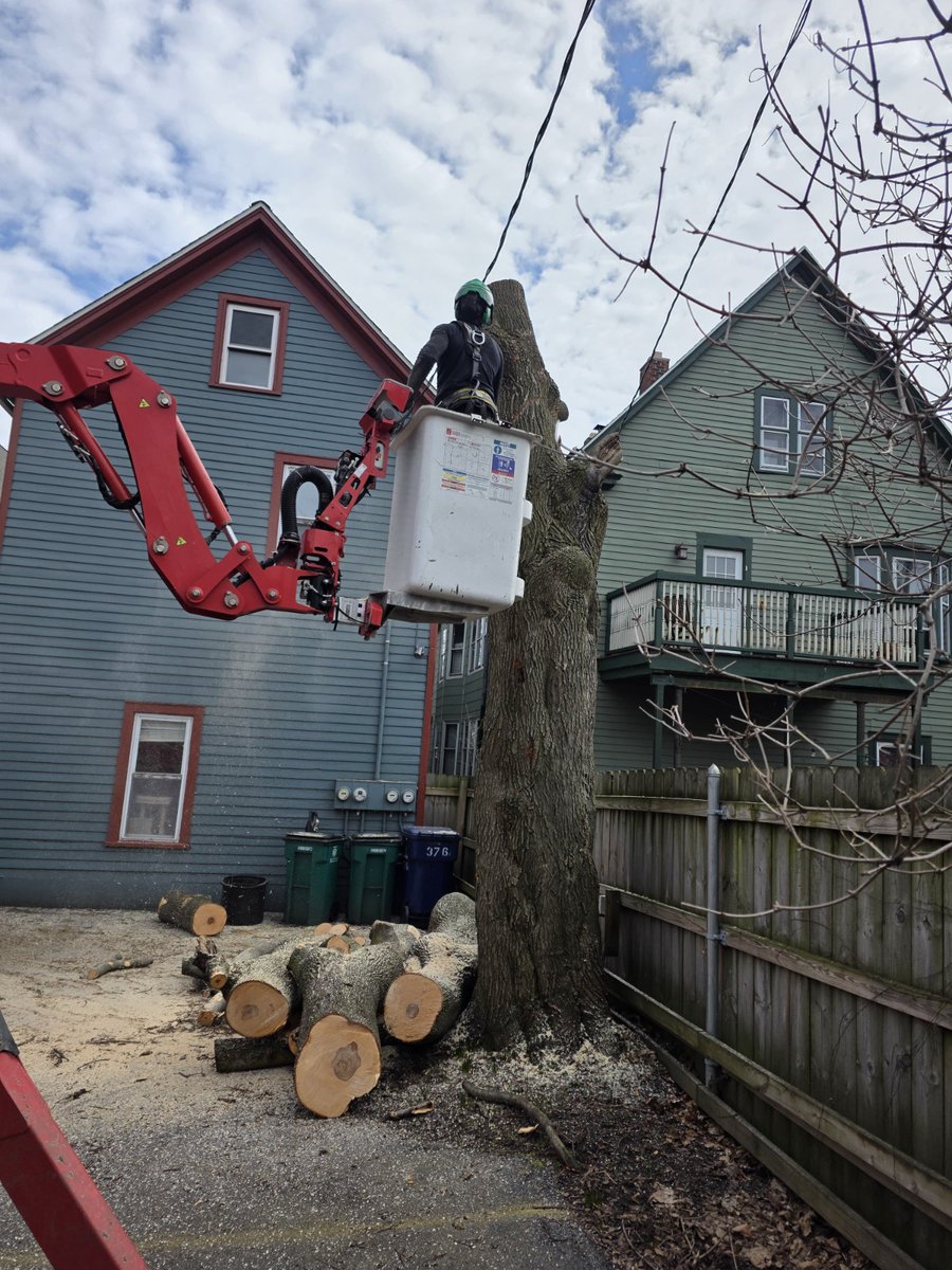 kdtreealbanyny's tweet photo. Controlled cuts. Zero chaos. 🌳
Around homes and power lines, every move matters. We remove trees piece by piece, safely, precisely, and fully controlled.
📞 Book today: 518-625-8733
#KDTreeService #TreeCare #Arborist #TreeExperts #SafeTreeWork https://t.co/Fx4FsGyLgM